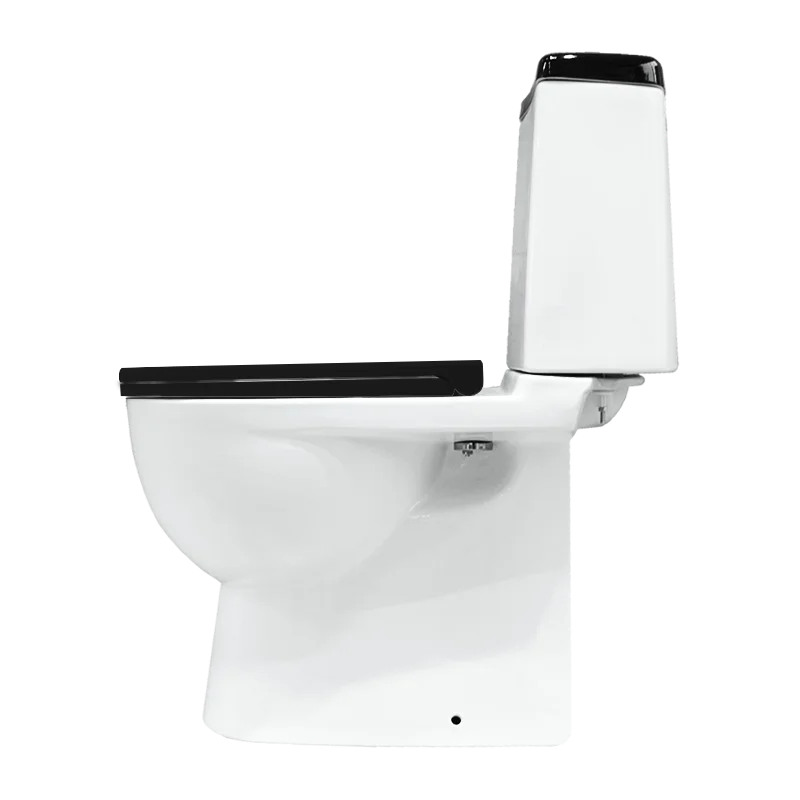 Унитаз-компакт Sanita Luxe Best Color Black с ун.вып.+стул DM(clip up)быс.сид BSTSLCC06100522  во Владимире