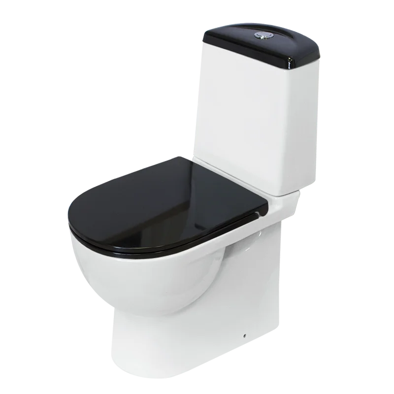 Унитаз-компакт Sanita Luxe Best Color Black с ун.вып.+стул DM(clip up)быс.сид BSTSLCC06100522  во Владимире