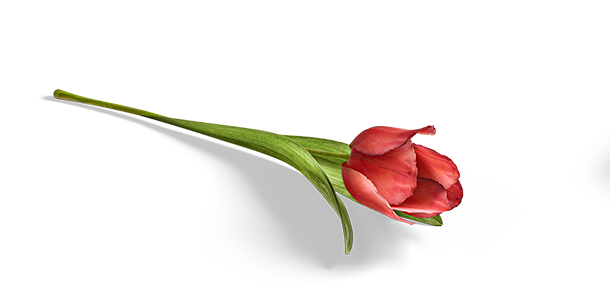 34231ча02 копия.png