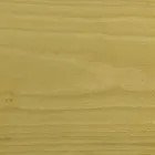 Золотой